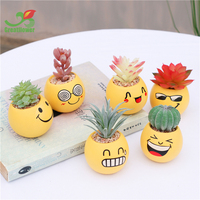 Petits pots de fleurs en céramique jaune émaillée, ronds, personnalisés, modernes et abordables, avec visage souriant, pour plantes succulentes artificielles, décoration de la maison pour le Nouvel An