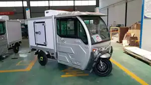 Hot Selling 800W Driewielige Motorfiets Open Lichaam Type Bevroren Cabine Koelkast Driewieler Voor Levering Van Ijs Tegen Een Prijs