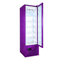Congélateur vertical à porte vitrée à température unique avec éclairage LED pour usage commercial et domestique