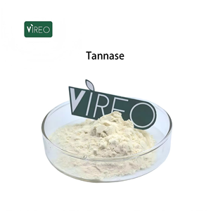 Pó de Enzima Tannase de Alta Qualidade para Aditivos Alimentares 250u/g-500u/g Ácido Tânico - Product Image 1