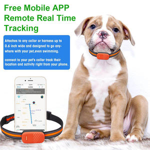 Venta al por mayor 2025 G51 4G Pet Anti-lost Smart Pet Gps Tracker <span class=keywords><strong>Collar</strong></span> 4G Recargable en tiempo real para actividad de mascotas - Product Image 6