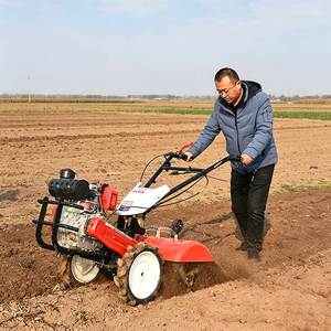 Motoculteur diesel 7,5 CV, tracteur à conducteur marchant, machine de travail du sol <span class=keywords><strong>agricole</strong></span>, cultivateur avec boîte de vitesses et moteur <span class=keywords><strong>pour</strong></span> le labourage, équipement <span class=keywords><strong>agricole</strong></span> - Product Image 1