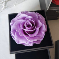 Coffret de bijoux avec rose éternelle, collier et boucles d'oreilles en forme de cœur, romantique et éternel, pour la Saint-Valentin, la remise des diplômes, l'anniversaire