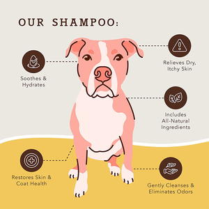 Private Label <strong>Itchy</strong> <strong>Dog</strong> <strong>Shampoo</strong> Natural <strong>Shampoo</strong> <strong>for</strong> Cleaning <strong>Dog</strong> Dry <strong>Skin</strong> Treatment and <strong>Dog</strong> Itch Relief <strong>Shampoo</strong> - Product Image 5