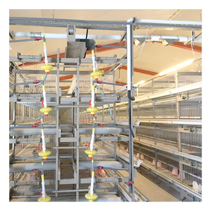 Cage d'Élevage Automatique pour Poussins, Batterie d'Éleveuse pour Poussins d'un <span class=keywords><strong>Jour</strong></span> et Jeunes Poulets de Chair - Product Image 1