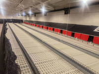 Nichoirs à œufs pour poules, conception personnalisée, construction de nichoirs à œufs pour volailles, boîte à œufs à roulement