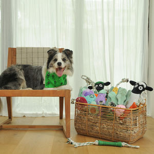 Designer Custom natale melanzane grandi peluche cane corda giocattolo morbido <span class=keywords><strong>Squeaker</strong></span> pacchetto giocattolo - Product Image 6