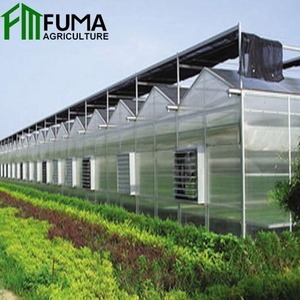 FM Moyen-Orient Polycarbonate Agriculture Verre vert Maison PC Feuille Multi Span Grande serre d'hiver <span class=keywords><strong>Tomates</strong></span> - Product Image 5