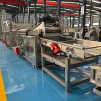 Automatische Industriële Fruitgroente Reinigingsproductielijn Voor Sojabonenmeel Maïsnoot Waskern Motorpomplager