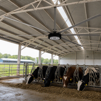 Ventilateur de plafond industriel de grande taille, ventilateur HVLS pour entrepôt, élevage avicole, refroidissement