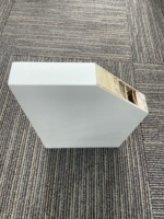 Porte affleurante Simple Plat Prémonté Panneau de Bois à Noyau Creux Blanc Lisse Portes Intérieures avec Cadres