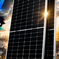 Panneau photovoltaïque 660W avec performance de courant améliorée pour une meilleure productivité du système solaire