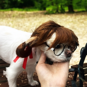 Ornamenti peli di cane parrucca (WFFNCDQ) - Product Image 1