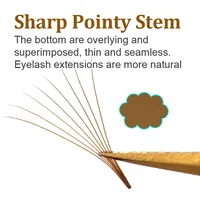 Extensions de cils préfabriquées faites à la main, 3D-14D, marron, tige fine, base pointue, 320 bouquets, volume synthétique effet vison, boîte, Chine continentale