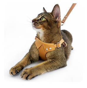 Kalung kucing kustom produk hewan peliharaan baru 2025 Set kalung hewan peliharaan kulit asli mewah Harness dan kerah - Product Image 1