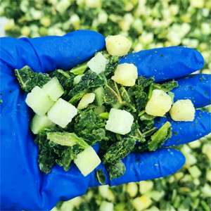 Nuevo Cultivo 2025, Kale Congelado IQF, Hojas de 1 cm, Kale Verde/Cabbage en Cubos Picados, Alta Calidad, Precio Competitivo, Empaque Personalizado - Product Image 2