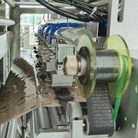 Automatische Lebensmittelgeeignete Zuckerbeutel-Füll- und Versiegelungsmaschine Mehrspurige 5g Granulat-Salz-Rohrzucker-Beutelverpackungsmaschine