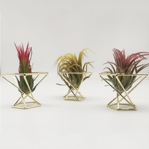 3pcs Supports de plantes à air en céramique de luxe géométriques modernes Grandes tables suspendues carrées/dessus de bureau Mini pots de jardin de luxe - Product Image 4