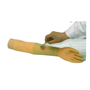 model of upper limb materials training the treatment abscess incision made of advanced polymer suturing model