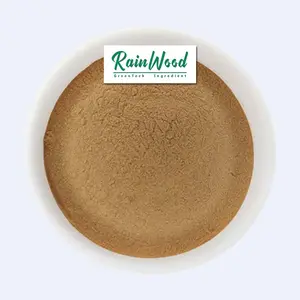Rainwood supply high quality Sanchi extract natural Sanchi leaf Extract food grade Panax Notoginseng Saponins powder for sale