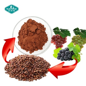 Raw Material Fruit <strong>Extract</strong> Wholesale 95% Polyphenols Proanthocyanidins <strong>Grape</strong> Seed <strong>Extract</strong> - Product Image 1