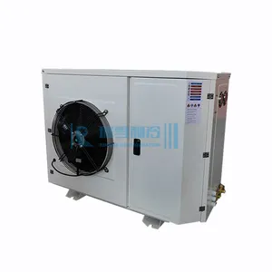 RUIXUE supply 2HP box type condensing unit with one motor fan r404a copeland compressor unit for ice storage freezer room