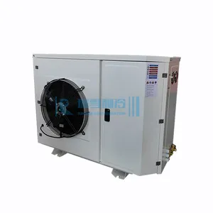 Ruixue Supply 2HP Box Type Condenserende Eenheid Met Een Motor Fan R404a Copeland Compressor Unit Voor Ijs Opslag Vriescel