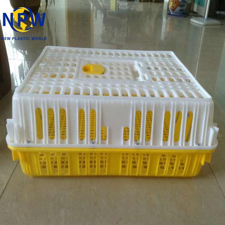 Chicken Farm Poultry Equipment-Agricultural Plastic Transport Crate for Chicken Birds
