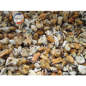Carne de Mejillón Azul Congelada IQF al por Mayor, Calidad A+, 10 kg/bolsa, de Proveedor Chino para Exportación - Product Image 4