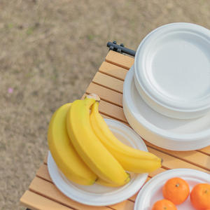 แม่พิมพ์เยื่อกระดาษชานอ้อยแผ่นย่อยสลายได้ทางชีวภาพแผ่นทิ้งจํานวนมาก - Product Image 6