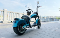 Prix d'usine, cyclomoteur électrique Citycoco, moto à deux roues, scooter électrique, moto pour adultes