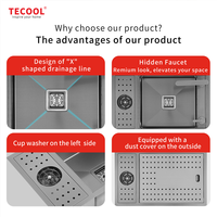 Tecool H-7646US Évier simple encastré moderne en acier inoxydable SUS 304 avec robinet pliable