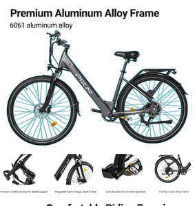 Bicicleta Eléctrica Ligera de Aluminio 6061 con Batería EVE de 36V 10.4AH, 25 km de Autonomía, 55 N.m de Torque para Desplazamientos Diarios CSL-X(1000) Electr - Product Image 4