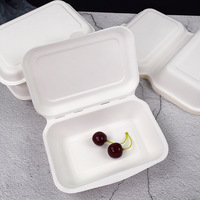Caja de bagazo de caña de azúcar de gran oferta PTPACK para pastel, postre, hamburguesa