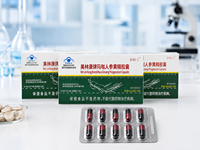 Capsules de poudre d'extrait de ginseng et de ganoderma de haute qualité pour soutenir l'immunité, utilisation masculine et féminine, 30 capsules/flacon, OEM/ODM