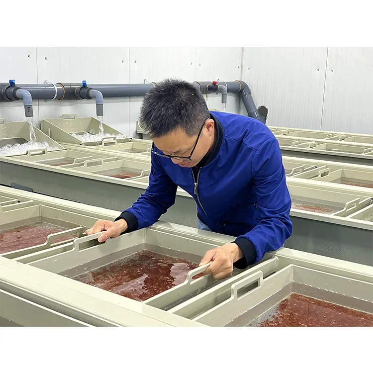 RAS養殖システム機器屋内魚養殖タンク魚孵化場魚卵インキュベーターras養殖システム
