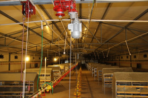 Vật liệu cao Tự động gà trang trại chăn nuôi thiết bị hoàn toàn tự động xoắn nâng Feeder gà trang trại thiết lập - Product Image 5