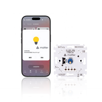 Bilihondim EU Matter Over Thread Wall Switches Rotary Smart Dimmer 200W 1 Channel Wireless Remote Control Used for Chandelier