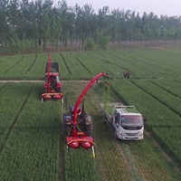 Moissonneuse-batteuse à double rangée pour ensilage de fourrage, machine à ensilage de tiges de maïs, machine à ensilage de fourrage, machine à récolter la paille, prix