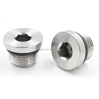 Bouchon de tuyau hexagonal en acier inoxydable SS304 avec joint en caoutchouc, filetage G1/8 à G2 (pouces) et M8 à M48 (métrique)