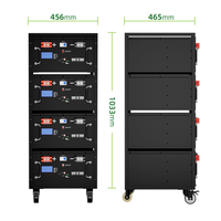 Système de stockage d'énergie solaire domestique monté sur rack, batterie lithium LiFePO4 51,2 V 100 Ah 200 Ah 5 kWh 10 kWh, alimentation de secours, BMS CAN, garantie 5 ans