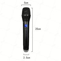Microphone sans fil UHF 2 canaux TNH PG68 haute fidélité pour grandes conférences, karaoké familial et performances scéniques