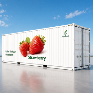 Sistema de cultivo hidropónico de una sola cara para fresas con drenaje automático, ventiladores de extracción sencillos, ciclo de luz fijo y completamente cerrado. - Product Image 1