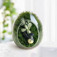 Wohndekor Miniatur-Sukkulenten Glasbehälter Leeres Eiförmiges Glas Transparentes Hochborosilikatglas Pflanzenterrarium