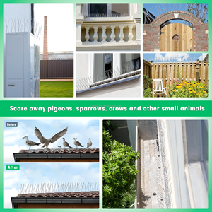 Púas Antipájaros de Acero Inoxidable 304, Disuasorios Múltiples para Palomas, Cuervos, Pájaros Carpinteros y Gaviotas, Tira de Control para Almacenes y Edificios de Iglesias - Product Image 6