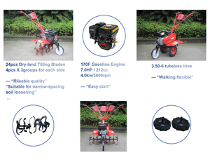 GHONGQING WINYOU 7.5HP 212cc/212cc Motocultores Agrícolas de Gasolina para Jardín WY500 - Product Image 2