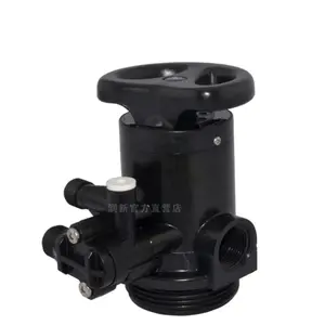 Runxin Multi-function 61202 F64B Manual Isolation Control Valve For Water Softener Tank