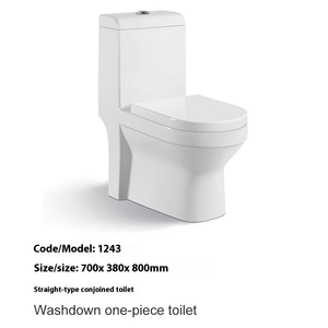 Inodoro Moderno de Cerámica con Doble Descarga y Drenaje en Forma de S, Fila Recta Horizontal, para Baños Africanos y de Medio Oriente - Product Image 5