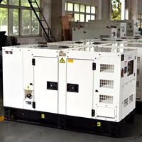 1/3 phases avec démarrage automatique moteur de marque Perkin 50-80kva AVR Protection générateur diesel silencieux/à cadre ouvert personnalisable