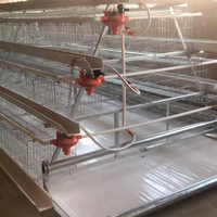 Cage de ponte de type A, équipement de ferme avicole à prix d'usine